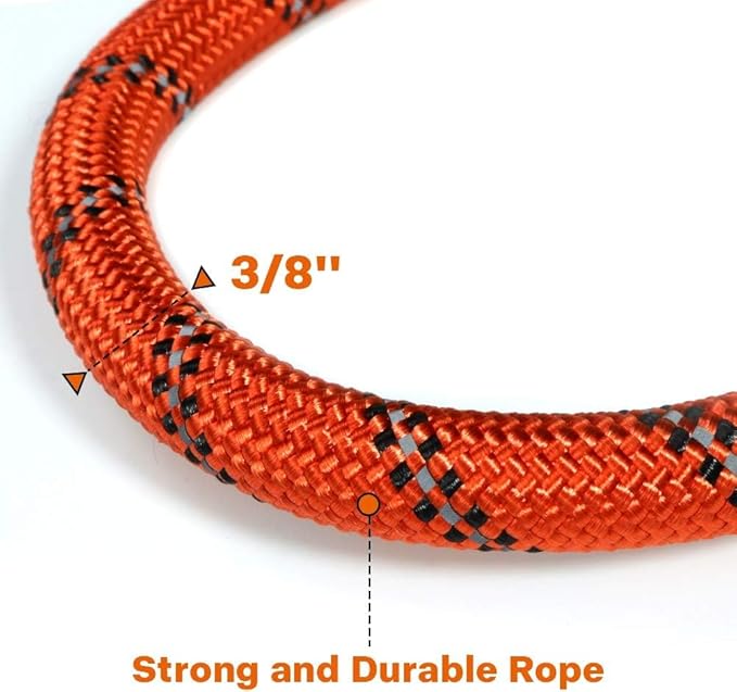 Taglory Rope Dog Leash 4 FT with Comfortable Padded Handle, Highly Reflective Threads Leash for Small Dogs, 3/8 inch, Orange