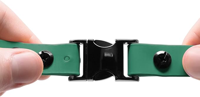 Educator Quick Snap Bungee Dog Collar, Biothane, Waterproof, Odorproof, Easy Connect and Disconnect Clasp and D Ring with Comfort Bungee Loop, Adjustable for Custom Fit, 3/4-Inch, Green