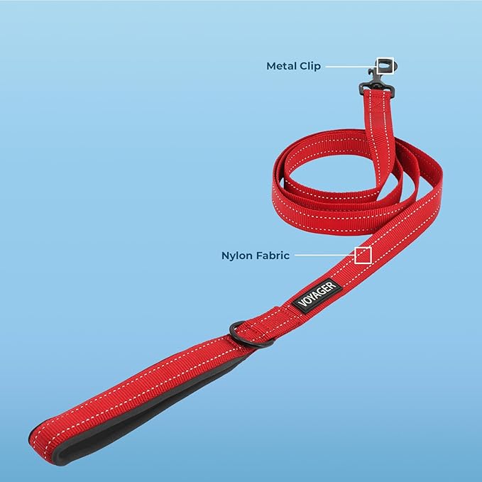 Best Pet Supplies Voyager Reflective Dog Leash or Collar with Neoprene Handle, for Small, Medium, and Large Breed Puppies, Cute and Heavy Duty for Walking, Running and Training - Red (Leash), S