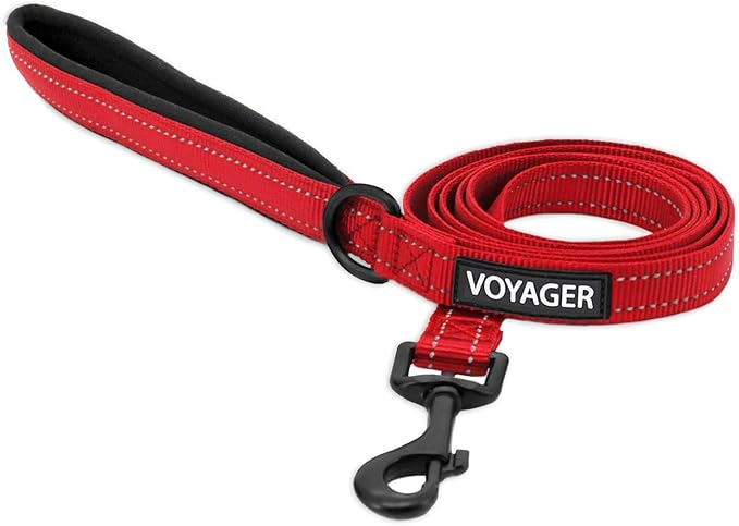 Best Pet Supplies Voyager Reflective Dog Leash or Collar with Neoprene Handle, for Small, Medium, and Large Breed Puppies, Cute and Heavy Duty for Walking, Running and Training - Red (Leash), S