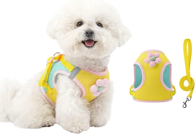 Floral Mesh Dog Harness with Matching Leash, Lightweight Pet Vest,Suitable for Small and Medium-Sized Cats and Dogs to Wear，Pink/Yellow (Yellow, L:16-20lbs)
