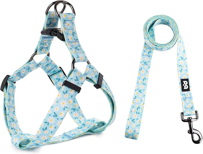 QQPETS Dog Harness Leash Set Adjustable Heavy Duty No Pull Halter Harnesses for Small Medium Large Breed Dogs Back Clip Anti-Twist Perfect for Walking