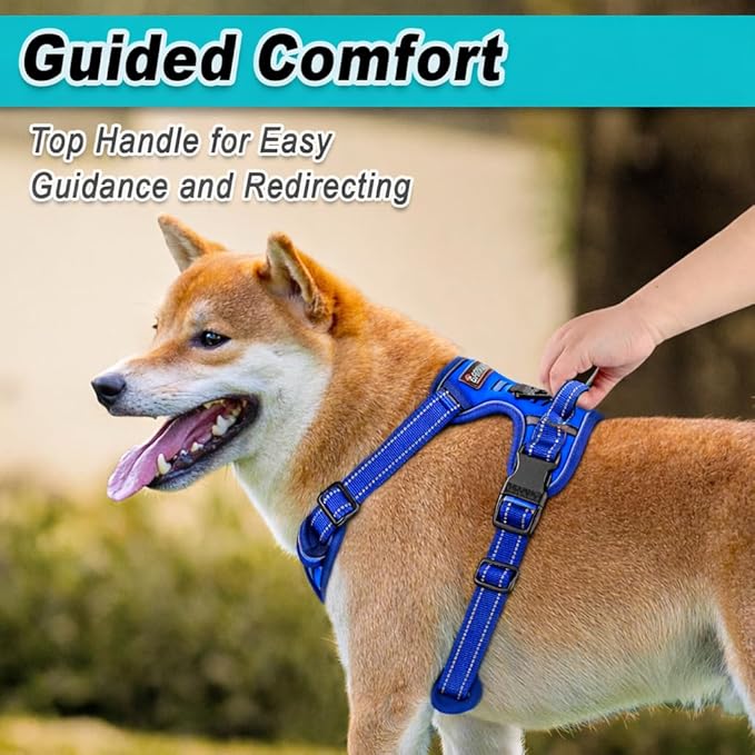 BARKBAY Dog Harness No Pull Mesh for Large Dogs - Adjustable, Reflective, Comfortable, No Choke, Heavy-Duty - Perfect for Outdoor Training, Walking, and Hiking-Strong&Durablee- XL & Sapphire Blue Mesh