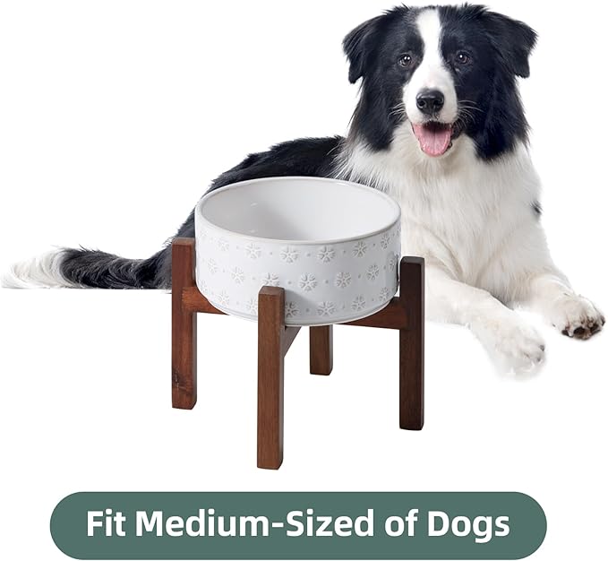 7.3inch Ceramic Raised Dog Bowl Set, Elevated with Acacia Wood Stand, Food and Water Bowl for Medium Breed Dogs, Weighted Dog Dishes, Pet Bowl(41OZ, Arctic White)