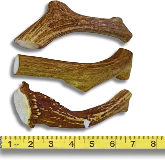 WhiteTail Naturals (3 Pack Deer Antlers for Large Dogs, Antler Dog Chews - Crafted in USA Dog Antler - Long Lasting Bone for Aggressive Chewers