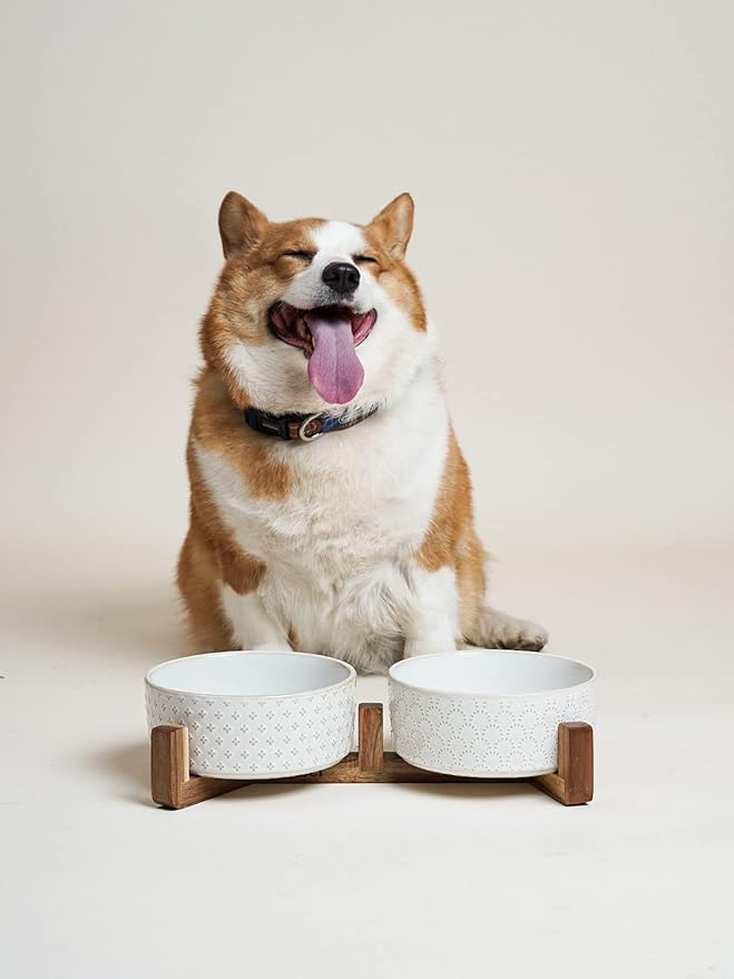Dog Bowls Ceramic for Small Medium Dogs - 3-Cup Dual Food & Water Bowl Set with Acacia Wood Stand, Non-Slip Anti-Tip Elevated Design