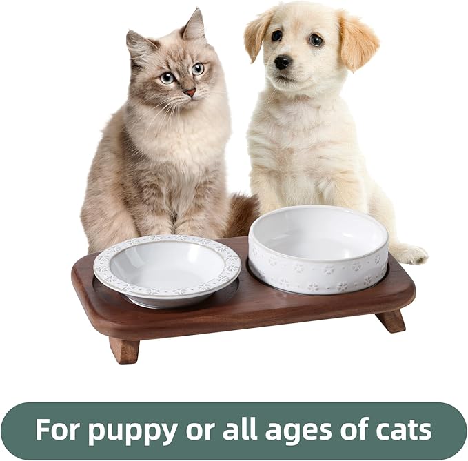Wide Whisker Friendly Raised Cat Bowls Set with Acacia Wood Stand, Ceramic Food & Water Bowls for Cats, Puppy, Kitty, Relief Whisker Fatigue, Pet Bowl(1Bowl+1Dish+Stand, Arctic White)
