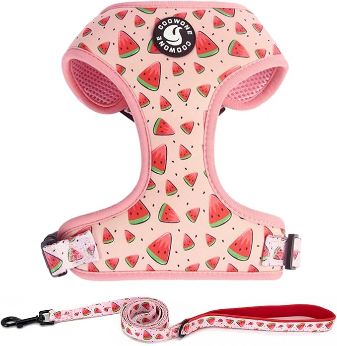 Dog Harness and Leash Set, Adjustable Dog Harness, Dog Leash, No Pull No Choke Puppy Harnesses for Walking Training for Small Medium Pet