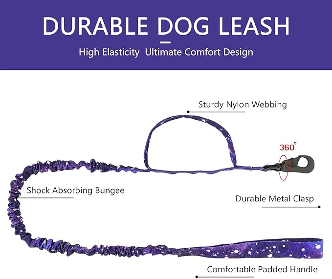 DAGANXI Tactical Dog Collar, Adjustable Military Training Nylon Dog Collar with Control Handle and Heavy Metal Buckle for Medium and Large Dogs, with Patches and Airtags Case (XXL, Purple Sky-Set)