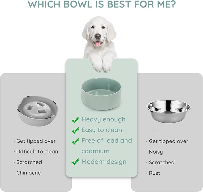 SPUNKYJUNKY 60OZ Ceramic Dog and Cat Bowl, Modern Cute Weighted Food Water Bowl for Replacement Morandi Green (2 Pack)