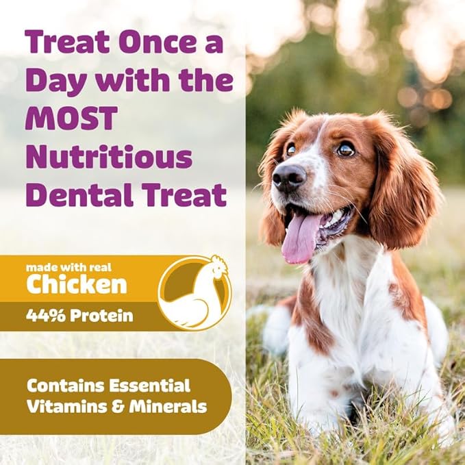 Longevity15 C15:0 Dog Health Supplement (30-Day Supply) & Yummy Combs Dog Dental Treats (8oz Bag) for Small Dogs – C15:0 Fatty Acid for Daily Wellness, Food Topper – VOHC Approved Oral Care