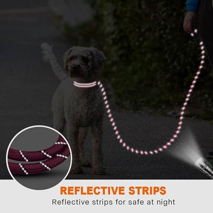 Taglory Rope Dog Leash 5 FT with Comfortable Padded Handle, Highly Reflective Threads Leash for Small Dogs, 3/8 inch, Hotpink