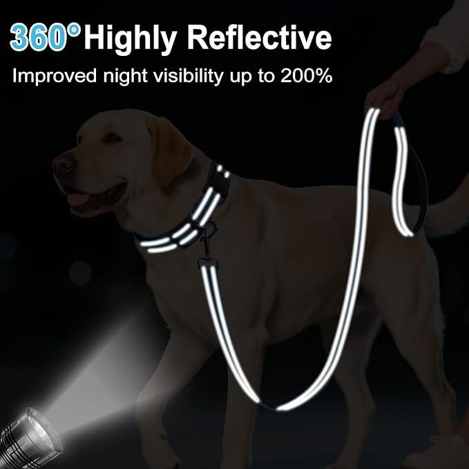 Reflective Dog Leash 4ft Soft Padded Handle Nylon Lead for Small & Medium Dogs, Durable Walking Training Leash for Night Safety (SkyBlue,3/4Inch Wide)