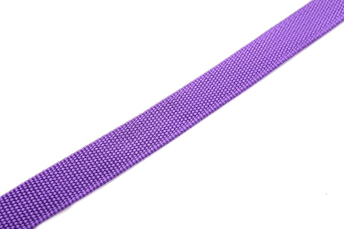 Nylon Dog Leash 16 Feet Long, Walking Training Dog Leashes for Medium Large Dogs(1" X 16 ft, Purple)