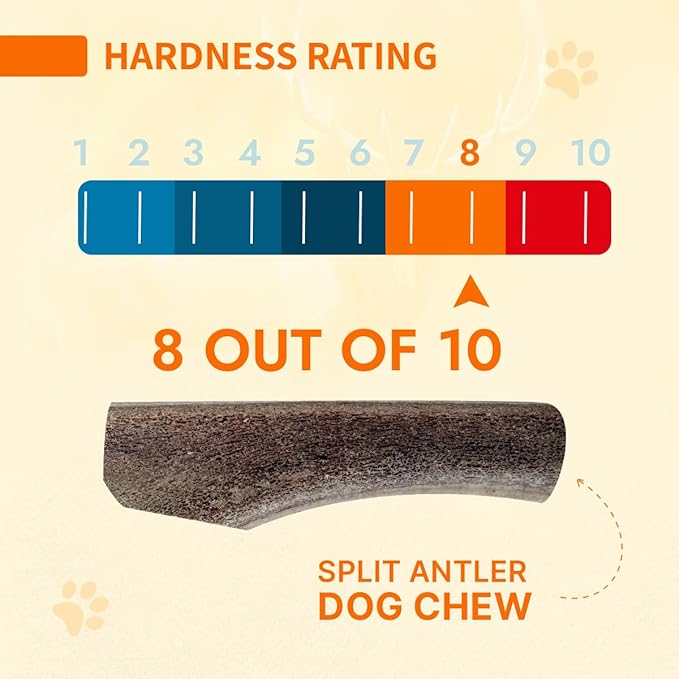 Tibetan Dog Chew Antler