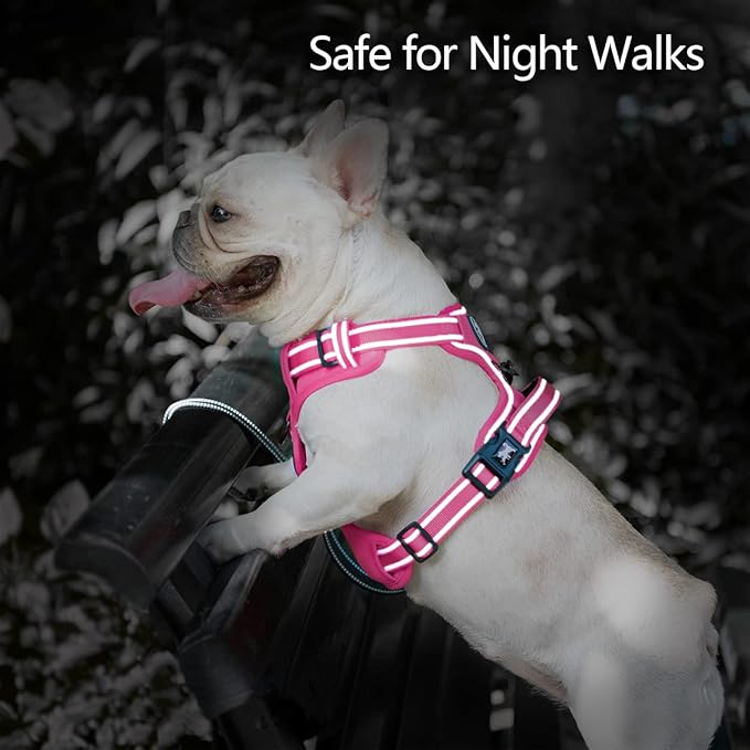 PoyPet No Pull Dog Harness, No Choke Reflective Dog Vest, Adjustable Pet Harnesses with Easy Control Padded Handle for Small Medium Large Dogs(Pink Matching Trim,S)