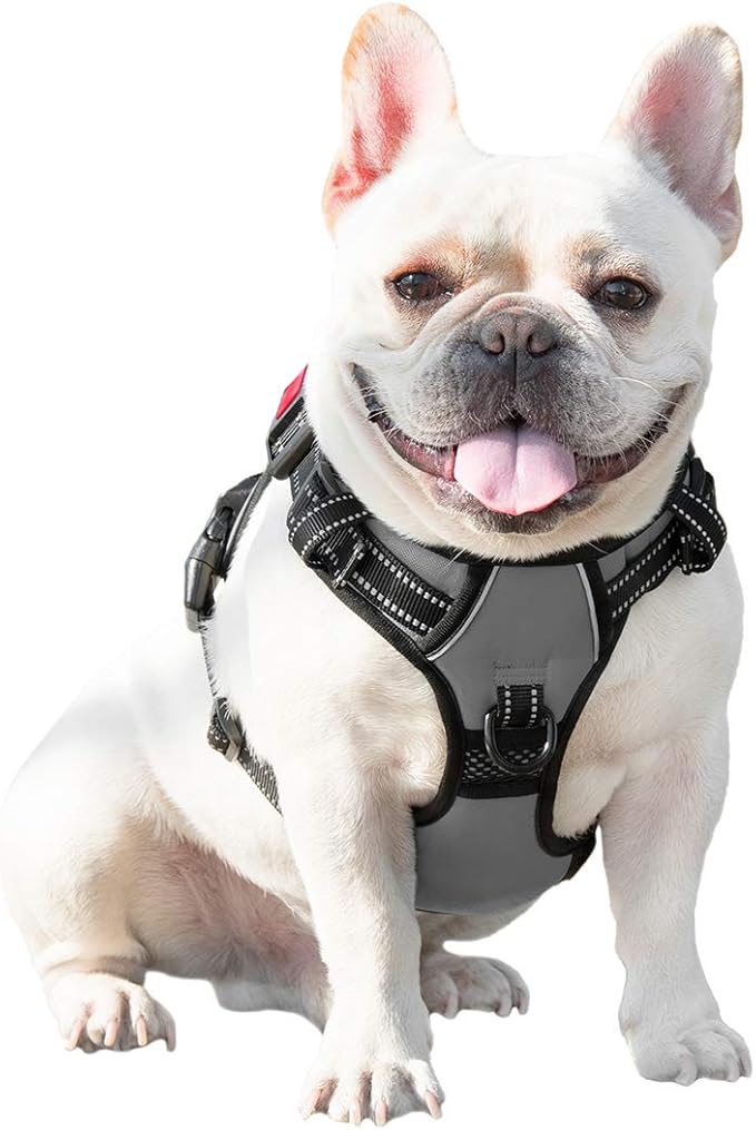 PHOEPET No Pull Dog Harness Medium Reflective Front Clip Vest with Handle,Adjustable 2 Metal Rings 3 Buckles,[Easy to Put on & Take Off](S, Grey)
