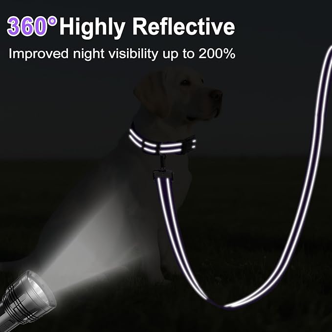 Reflective Dog Leash 6ft Soft Padded Handle Nylon Lead for Medium & Large Dogs, Durable Walking Training Leash for Night Safety (Purple,1Inch Wide)