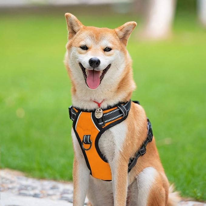 PoyPet No Pull Dog Harness, Reflective Comfortable Vest Harness with Front & Back 2 Leash Attachments and Easy Control Handle Adjustable Soft Padded Pet Vest for Small to Large Dogs (Orange,S)
