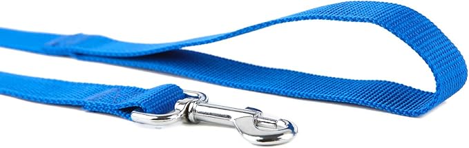 Nylon Dog Training Leash, Traction Rope, 4Ft /5 Foot /6 Feet Long, 5/8 inch 3/4 Inch 1 Inch Wide, for Small and Medium Dogs (Blue, 1'' x 15 FT)