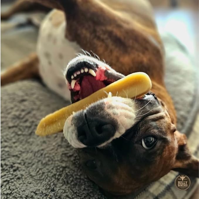 Bully Bunches Large Authentic Yak Cheese Himalayan Chews for Large Dogs & Heavy Chewers - All Natural Dog Treat Dental Chews, Made with Real Yak Milk - Lactose & Rawhide Free (6 Pk)