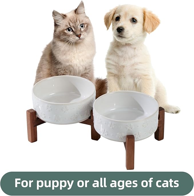 Ceramic 5.1inch Raised Double Bowls Set with Acacia Wood Stand, 2 Heights Elevated, Food & Water Bowls for Puppy, Kitty, Cats(13.5oz, Arctic White)