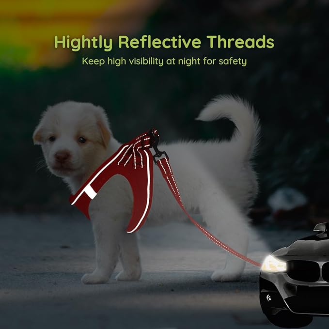 BELLA & PAL Step in Vest Harness for Small and Medium Dogs, No Pull Small Dog Harness with Leash Set, Comfortable Air Mesh Dog Vest Harness with Reflective Strip (Red, L)