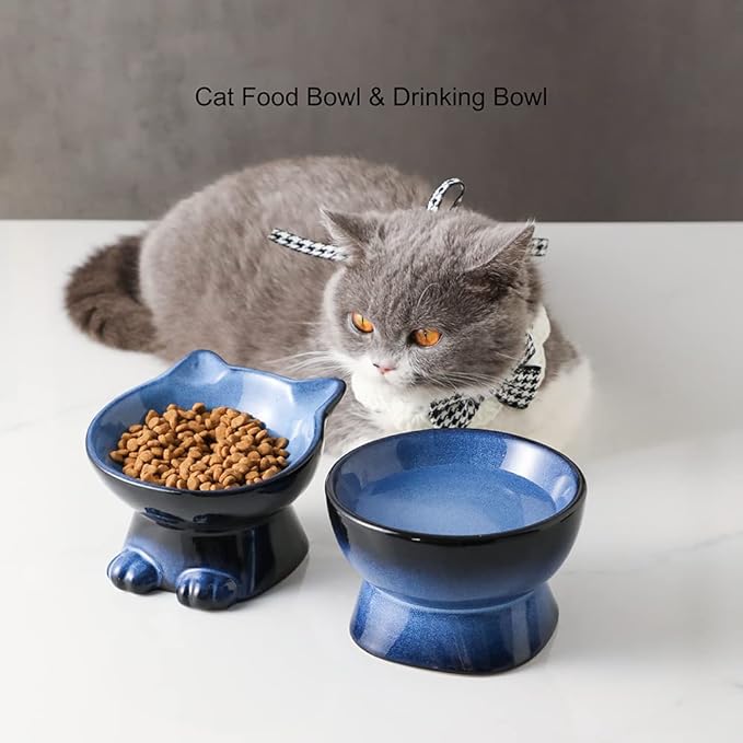 Nihow Elevated Cat/Dog Bowls Set : 5 Inch Ceramic Raised Cat Food and Water Bowl Set for Protecting Pet's Spine - Feeding & Watering Supplies for Pets- Elegant Blue & Black (2PC)