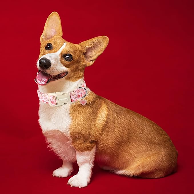 DOGWONG Pink Heart Valentine Dog Collar, Medium, Soft, Adjustable, Cute, for Small to Large Dogs