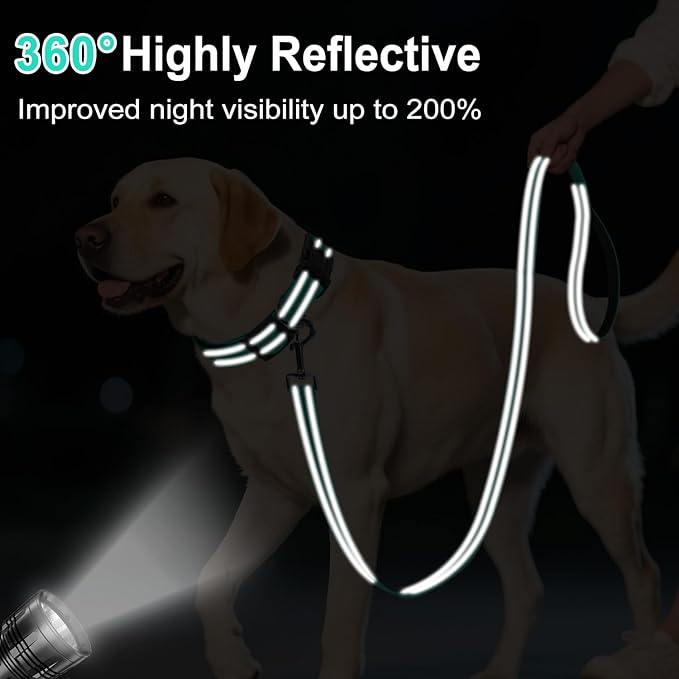 Reflective Dog Leash 6ft Soft Padded Handle Nylon Lead for Small & Medium Dogs, Durable Walking Training Leash for Night Safety (Turquoise,3/4Inch Wide)