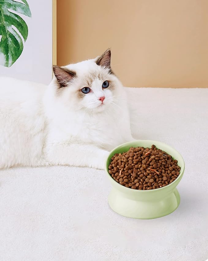 LoeJan Elevated Cat Food Bowl, 5 Oz Ceramic Raised and Tilted Water Bowl, Anti Vomiting and Protect Pets' Spines Dishes for Small Dog, Fat Faced Cat, Kitten (Green, 1 Pack)