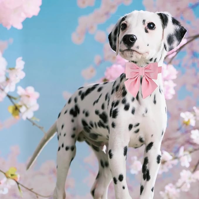 Maca Bates Cherry Pink Dog Collar with Cute Solid Sailor Bow Tie for Extra Large Girl Boy Dogs,Girly Adjustbale Durable Breakaway Soft Collars with Bowtie for Female Male Puppy,Pet with Metal Buckle