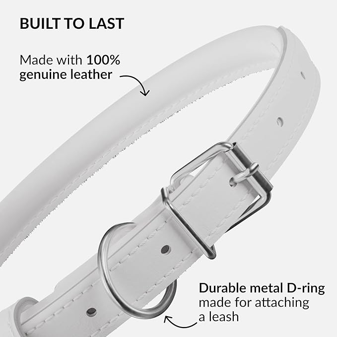 CollarDirect Rolled Leather Dog Collar, Soft Padded Round Puppy Collar, Handmade Genuine Leather Collar Dog Small Large Cat Collars 13 Colors (12-15 Inch, White Smooth)