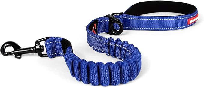 EzyDog Zero Shock Dog Leash - Shock Absorbing Bungee Leash for Dogs That Pull or Excite - Dual Handle and Reflective for Large, Medium, or Small Dogs (25-inch, Blue