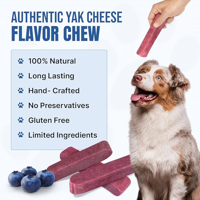 Tibetan Dog Chew Yak Cheese Sticks (3 Large Chews) Blueberry Flavored - Handmade Treats for Large Dogs, Long-Lasting, Easy to Digest, Grain-Free, Gluten-Free, for Aggressive Chewers