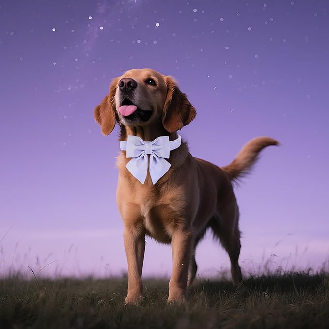 Maca Bates Violet Dog Collar with Cute Lavender Solid Sailor Bow Tie,Extra Large Girl Boy Dogs,Girly Adjustbale Durable Breakaway Soft Collars with Bowtie for Female Male Puppy,Pet with Metal Buckle