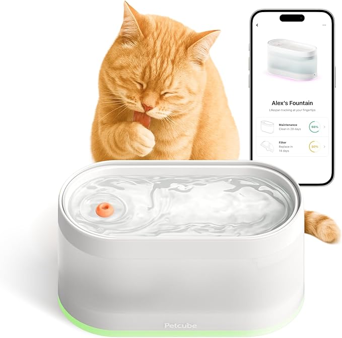 Petcube Pet Water Fountain | Automatic Wireless Water Fountain for Cats and Dogs with Ceramic Bowl, Easy to Clean, 4-Layer Filtration, in-App Filter Control, LED Light, Quiet Pump, Battery Operated