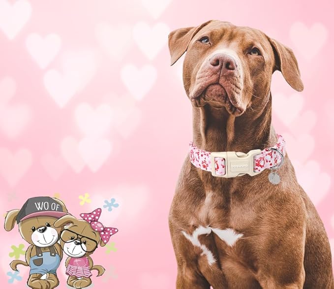 DOGWONG Valentine's Dog Collar, XL Pink Heart, Soft Cotton, Breakaway Closure, Small & Medium Dogs