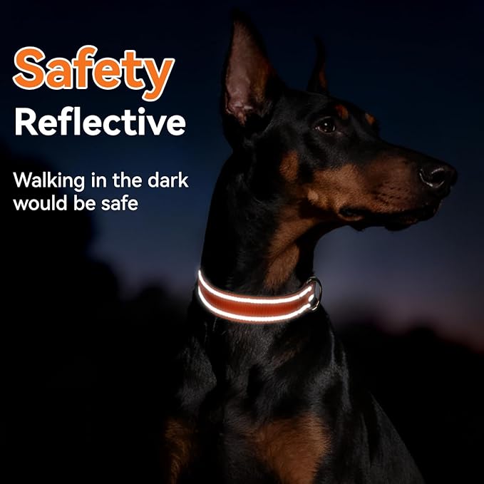 Reflective Dog Collar for Small Dogs, Soft Neoprene Padded with Quick Release Buckle, Adjustable Nylon Pet Collar for Walking,Orange,S