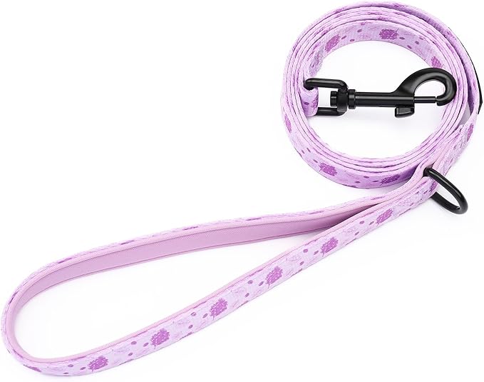 Dog Harness and Leash Set, Adjustable Dog Harness, Dog Leash, No Pull No Choke Puppy Harnesses for Walking Training for Small Medium Pet (Wines, S(Chest 13-19", Neck 9.5-13.1"))