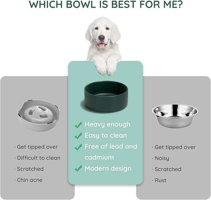 SPUNKYJUNKY 28.7OZ Ceramic Dog and Cat Bowl, Modern Cute Weighted Food Water Bowl for Replacement Green (1 Pack)