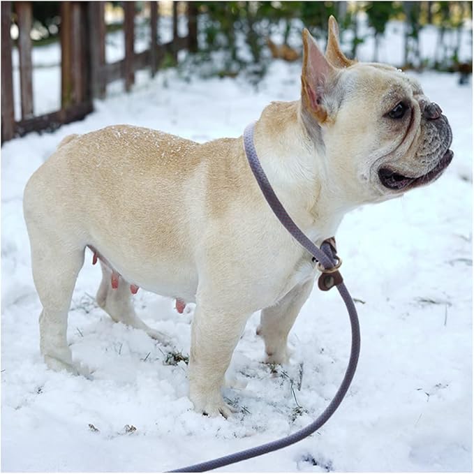 BTINESFUL 7ft Slip Lead Dog Leash, Strong Nylon Rope Leash, 1/4" Dog Training Lead for Small Medium Dogs, 14+ Colors
