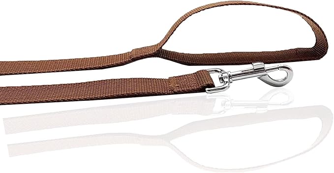Nylon Dog Leash 8 Feet Long, Walking Training Dog Leashes for Medium Large Dogs(1" X 8 ft, Brown)