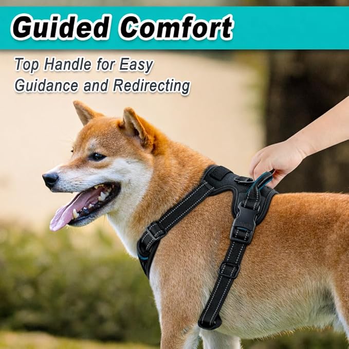 BARKBAY Dog Harness No Pull Mesh for Small Dogs - Adjustable, Reflective, Comfortable, No Choke, Heavy-Duty - Perfect for Outdoor Training, Walking, and Hiking - Strong & Durable - XS & Black Mesh