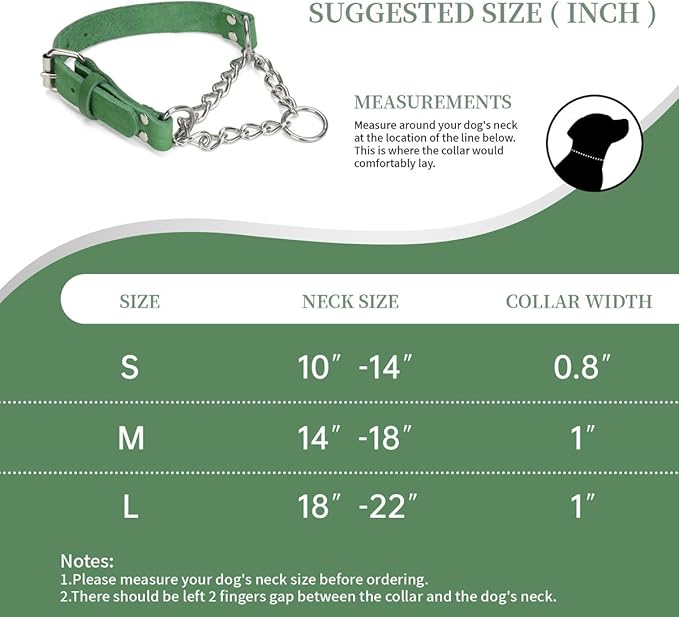 Martingale Collar for Dogs No-Pull Adjustable Training Collar with Stainless Steel Chain - Genuine Leather Anti-Slip Design for Small,Medium,Large Breed Dogs - Green (S)
