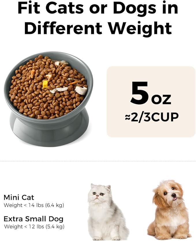 LoeJan Elevated Cat Food Bowl, 5 Oz Ceramic Raised and Tilted Water Bowl, Anti Vomiting and Protect Pets' Spines Dishes for Small Dog, Fat Faced Cat, Kitten (Gray, 1 Pack)