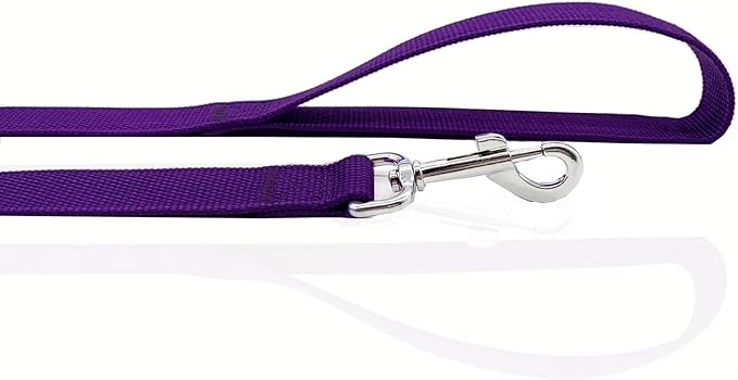 Nylon Dog Leash 16 Feet Long, Walking Training Dog Leashes for Medium Large Dogs(1" X 16 ft, Purple)
