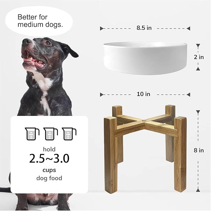 Slow Feeder,Ceramic-Slow Feeder Dog Bowls Elevated for Medium Breed,2.5 Cups Slow Feed Dog Bowl with Stand,White