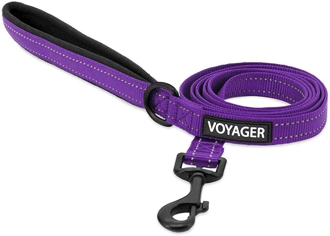 Best Pet Supplies Voyager Reflective Dog Leash or Collar with Neoprene Handle, for Small, Medium, and Large Breed Puppies, Cute and Heavy Duty for Walking, Running and Training - Purple (Leash), S