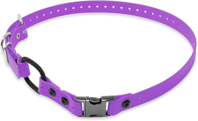 Educator Quick Snap Bungee Dog Collar, Biothane Waterproof & Odorproof, Easy Connect Clasp & D-Ring, Comfort Loop, Trim to Fit, 3/4-Inch, Purple – Fits ME-300, ET-300/400, EZ-900, PE-900, PG-300